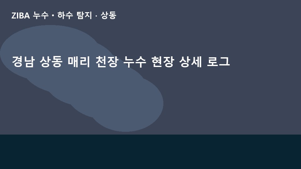 경남 상동 매리 천장 누수 현장 상세 로그