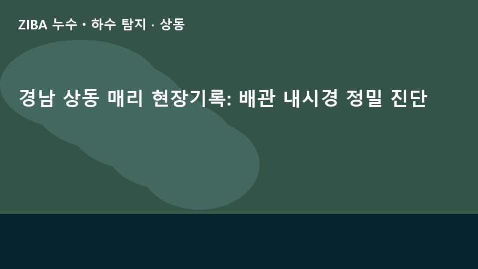 경남 상동 매리 현장기록: 배관 내시경 정밀 진단